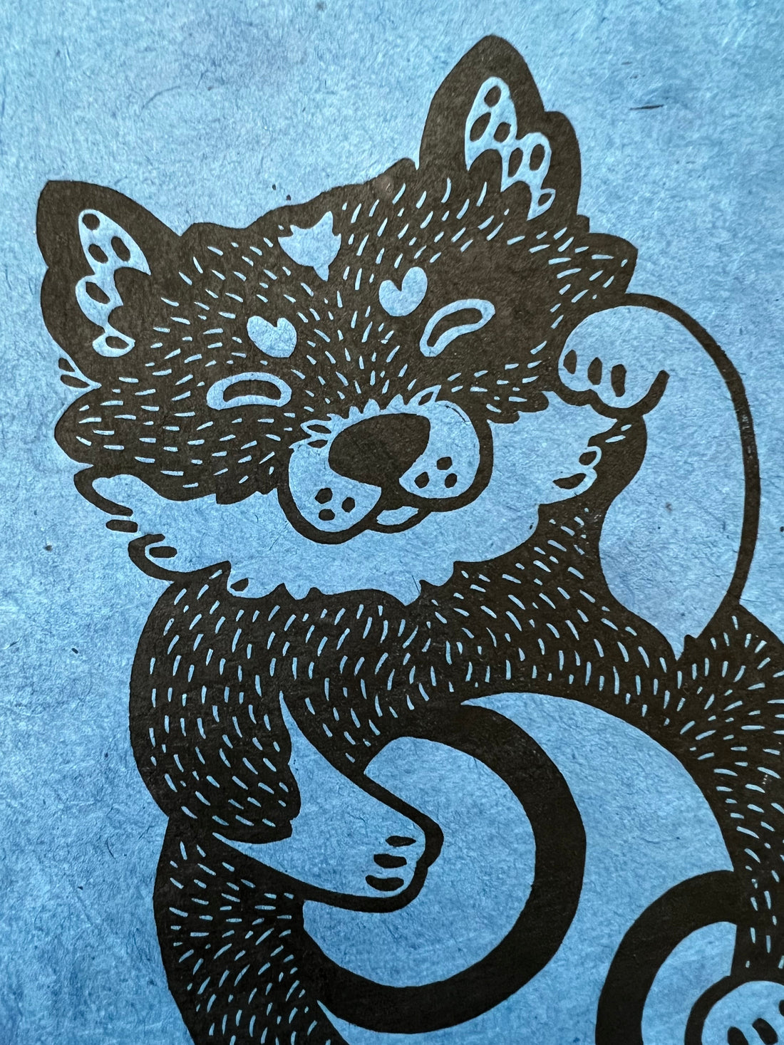 Pet Portraits